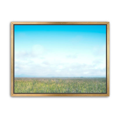 Grasslands