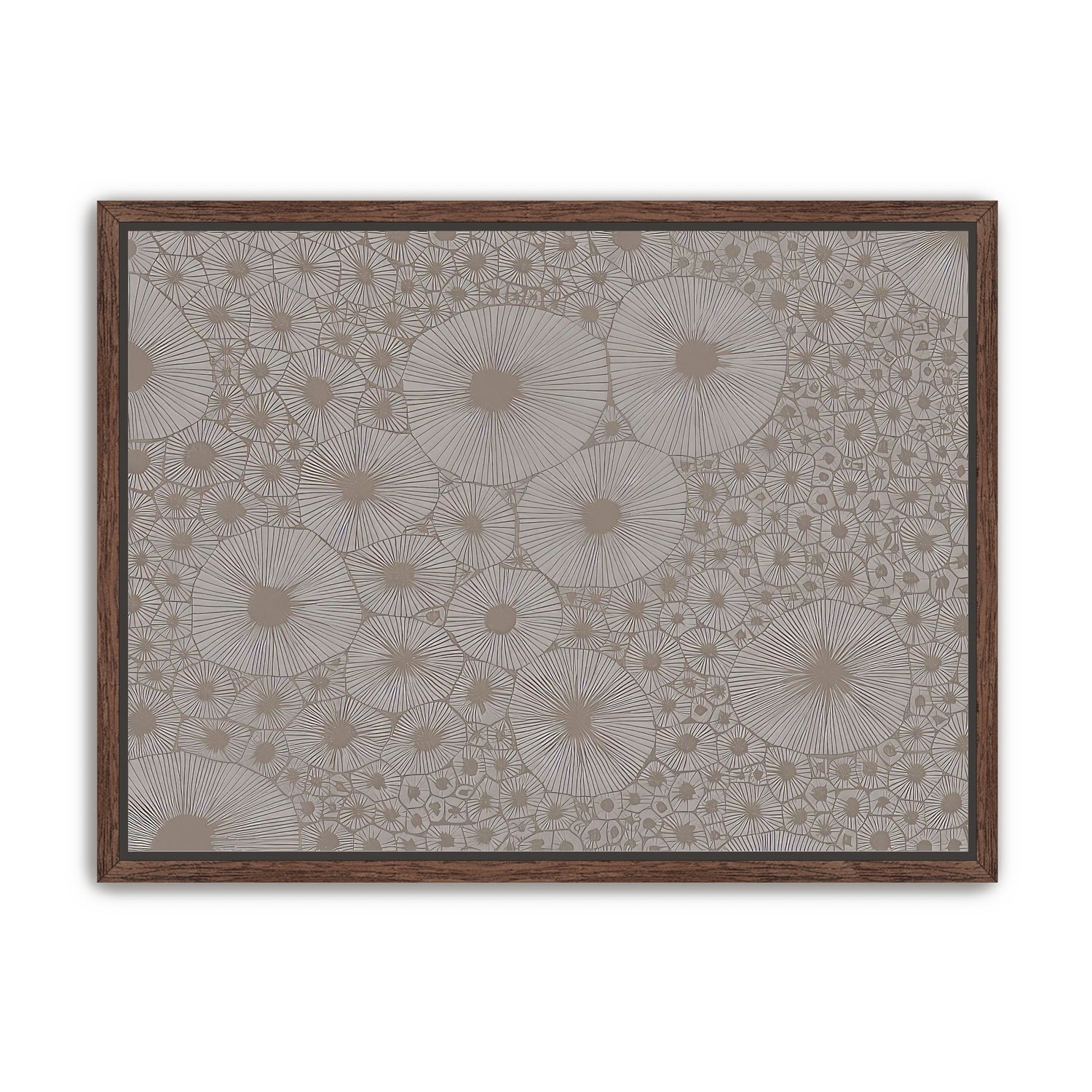 Bold Coral