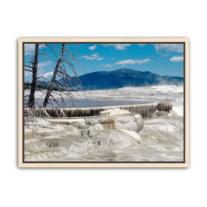 Mammoth Hot Springs