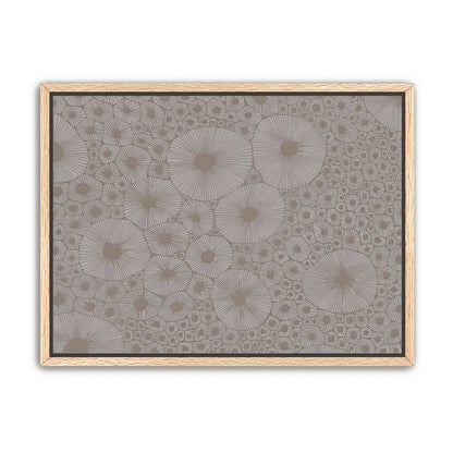 Bold Coral