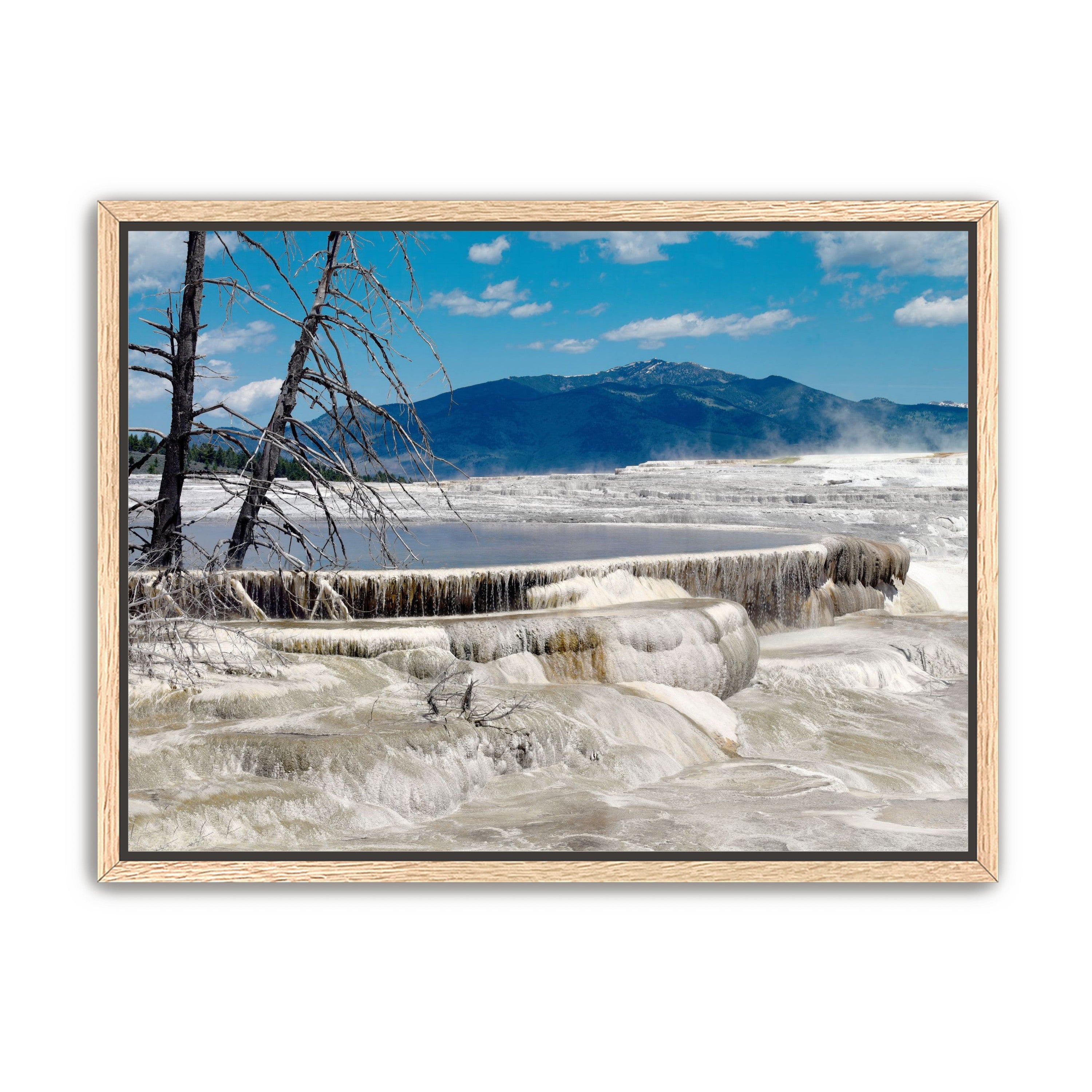 Mammoth Hot Springs