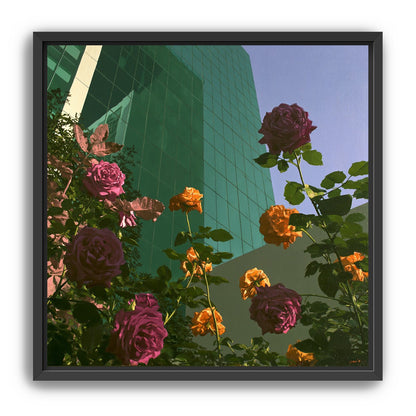 Roses climbing the glass wall