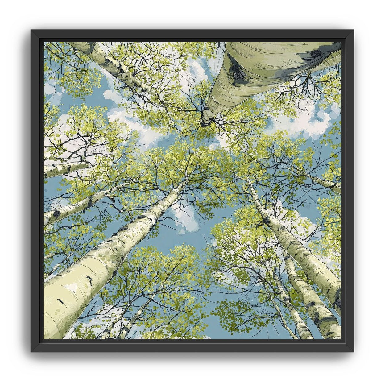 Aspen Canopy I