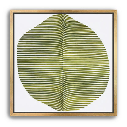 Dark green stripes crease inward