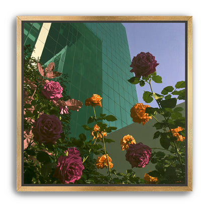 Roses climbing the glass wall
