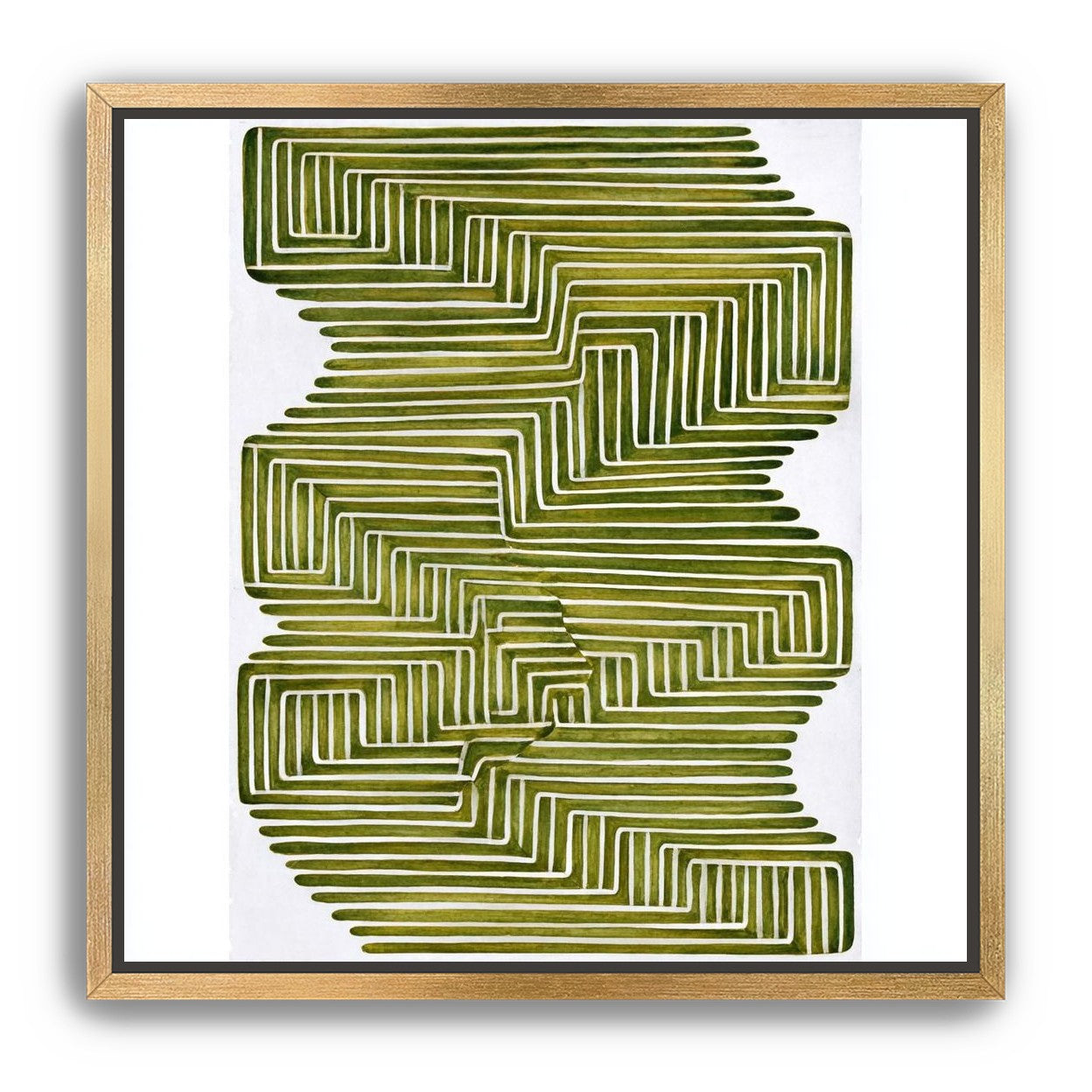 Olive bands in white quiet