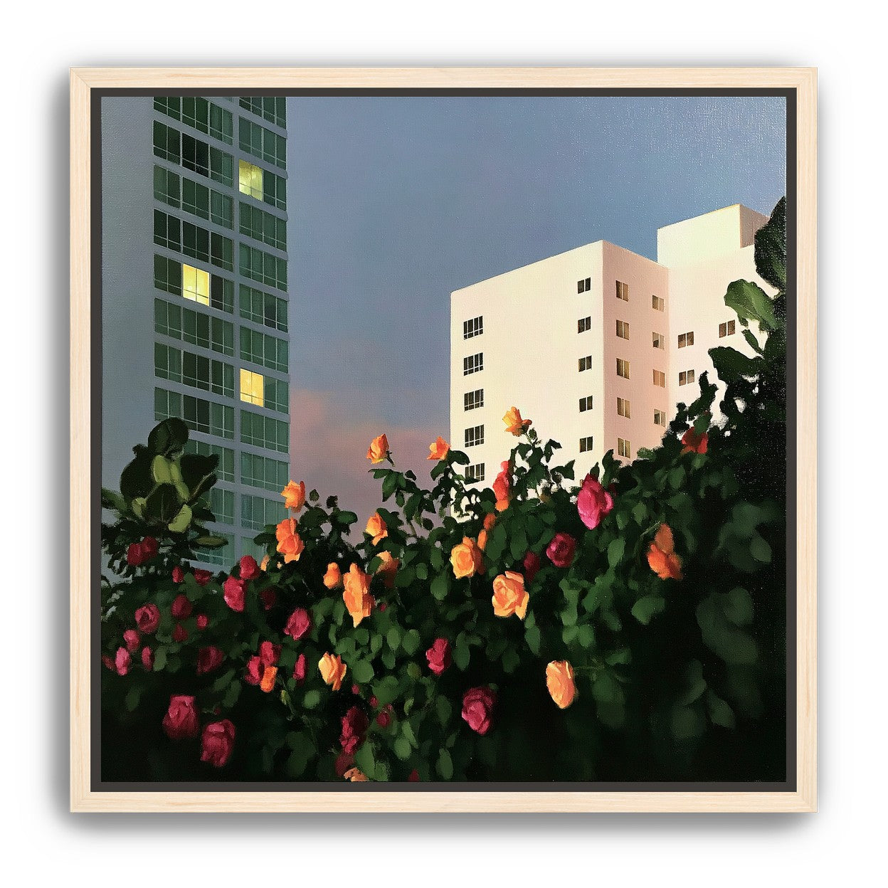 Roses below lit windows