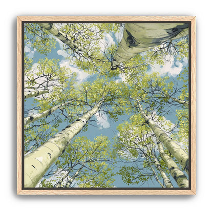 Aspen Canopy I