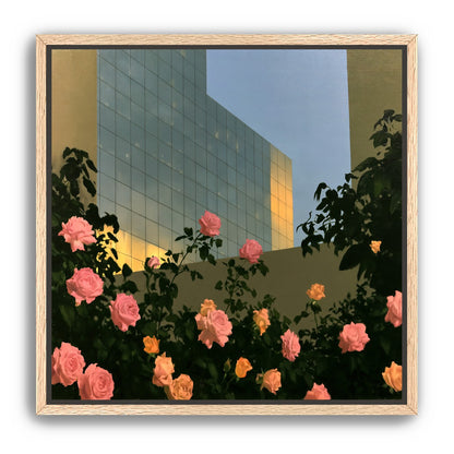 Roses against the glass wall