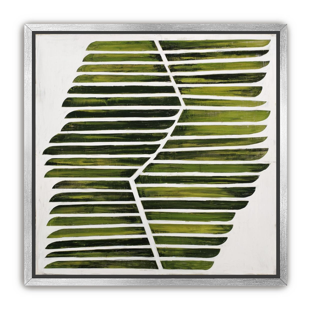 Leaf ribs around a white vein