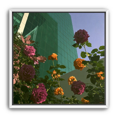 Roses climbing the glass wall