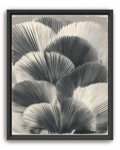Ginkgo leaves in shadow