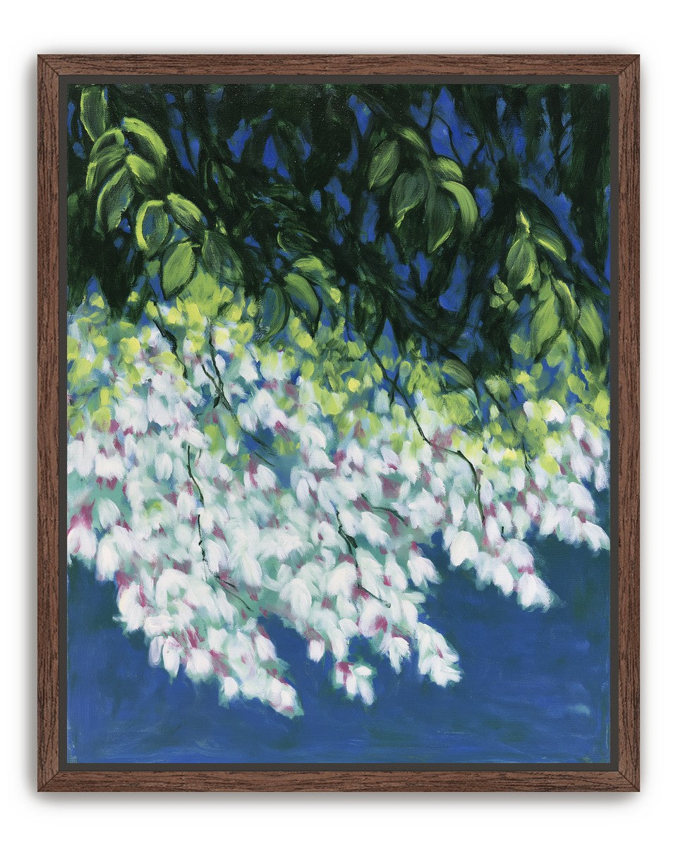 White blossoms in blue shade
