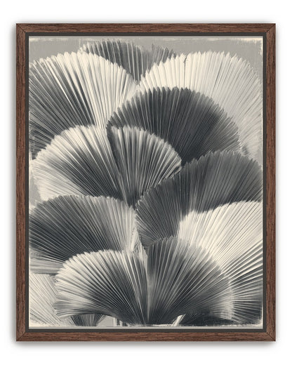 Ginkgo leaves in shadow