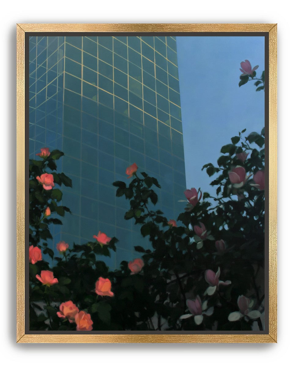 Roses beneath blue towers