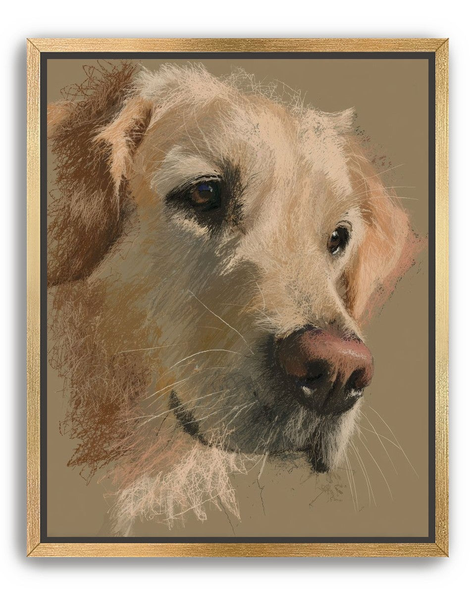 Warm fur in brown quietness