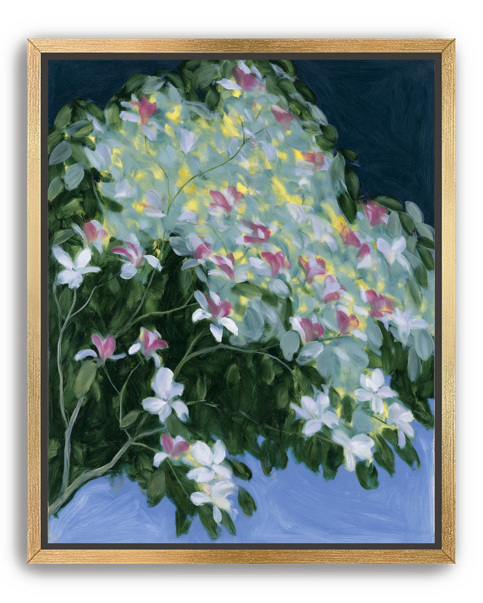Blossoms across the night sky