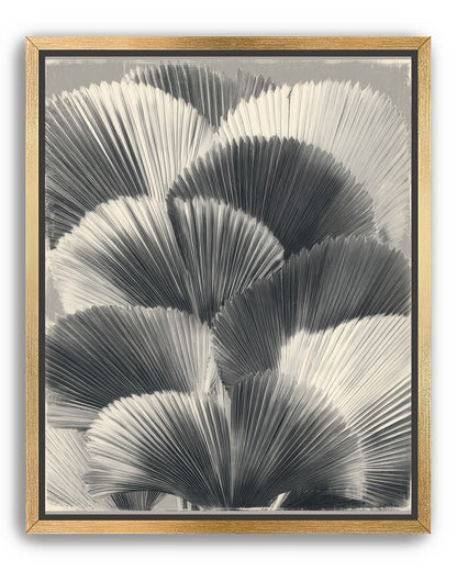 Ginkgo leaves in shadow