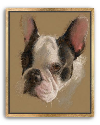 Close portrait with upright ears