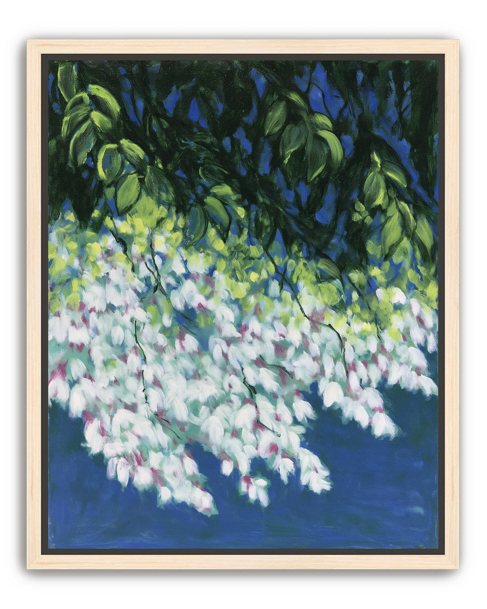 White blossoms in blue shade