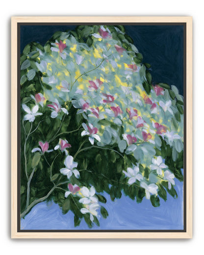 Blossoms across the night sky