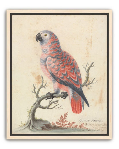 Parrot among bare branches