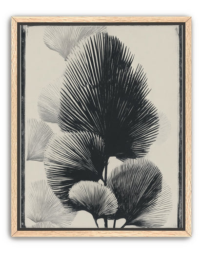 Fan fronds in ink shadow