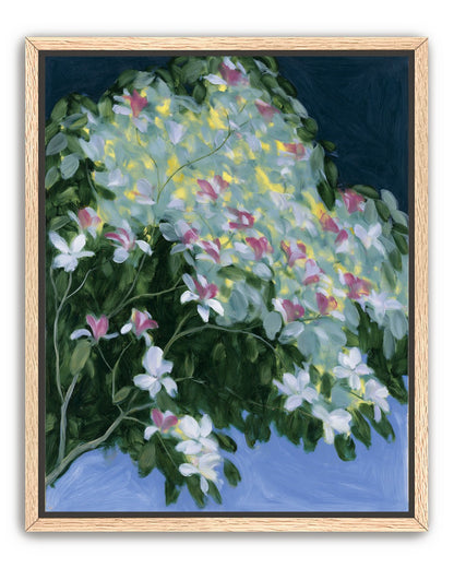 Blossoms across the night sky