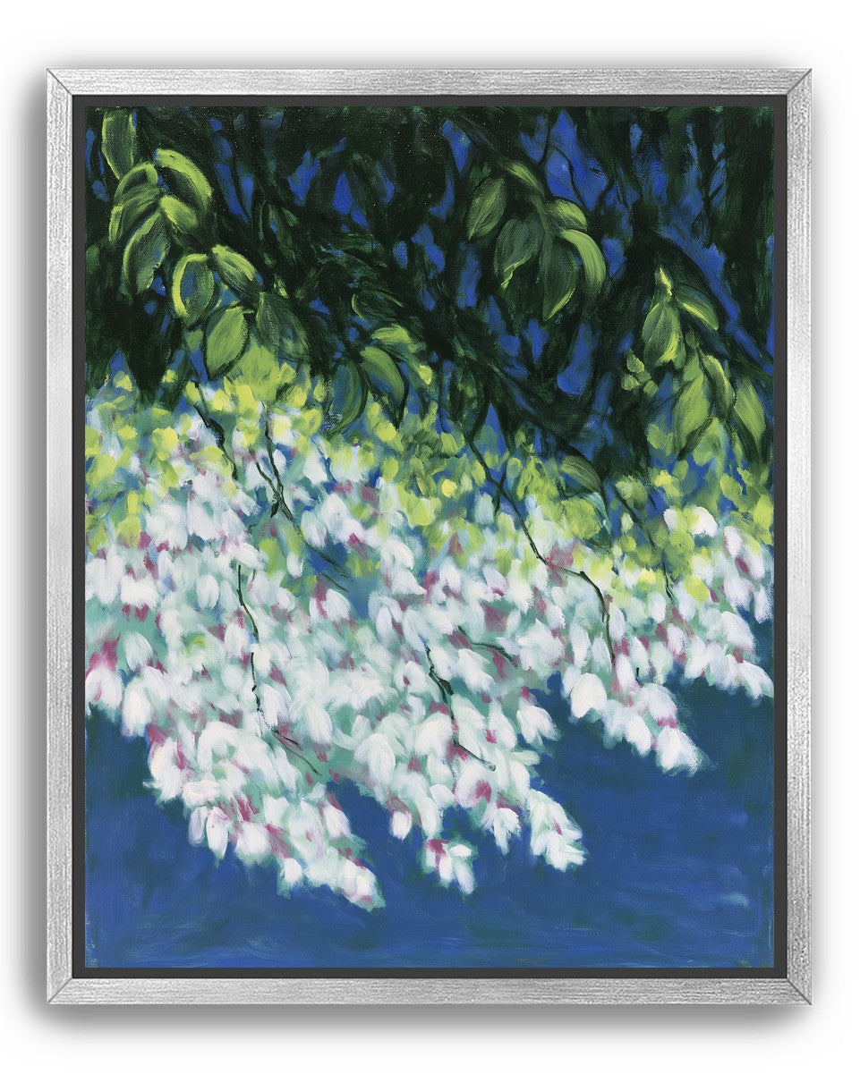 White blossoms in blue shade