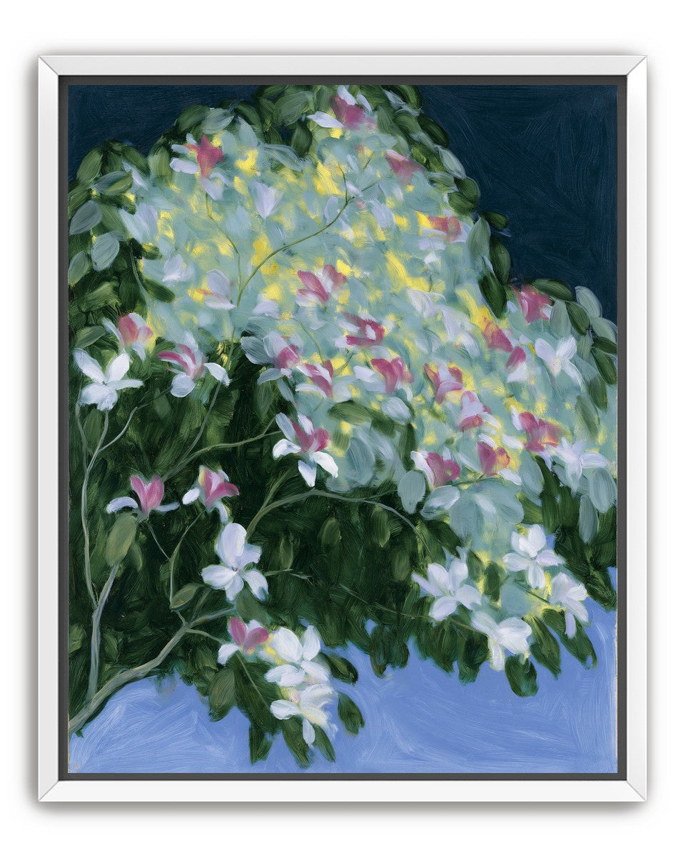 Blossoms across the night sky