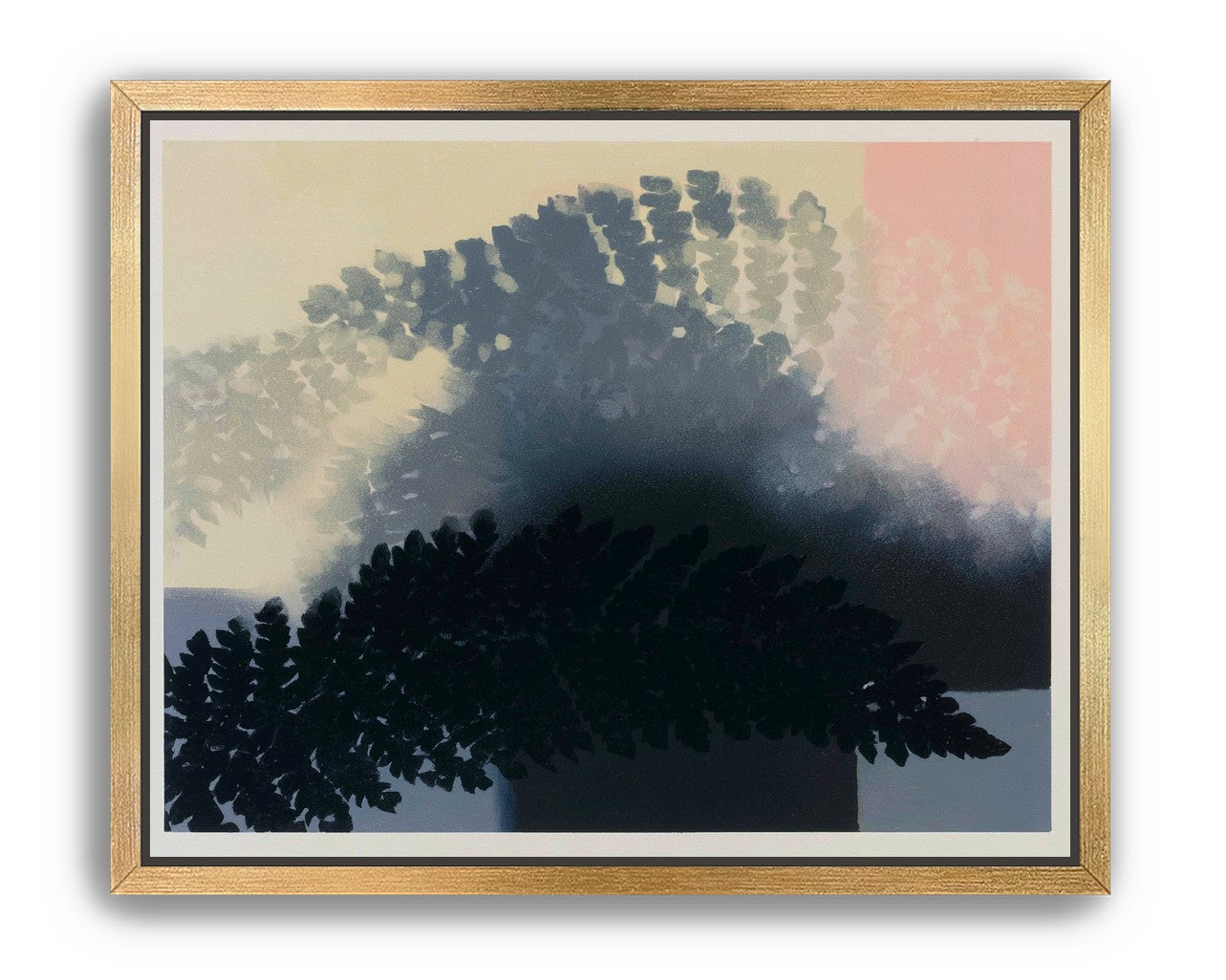 Tree shadow across the sky