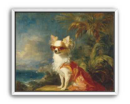 Sunglasses on the seaside dog