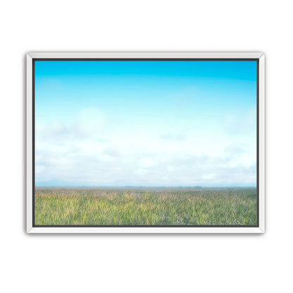 Grasslands