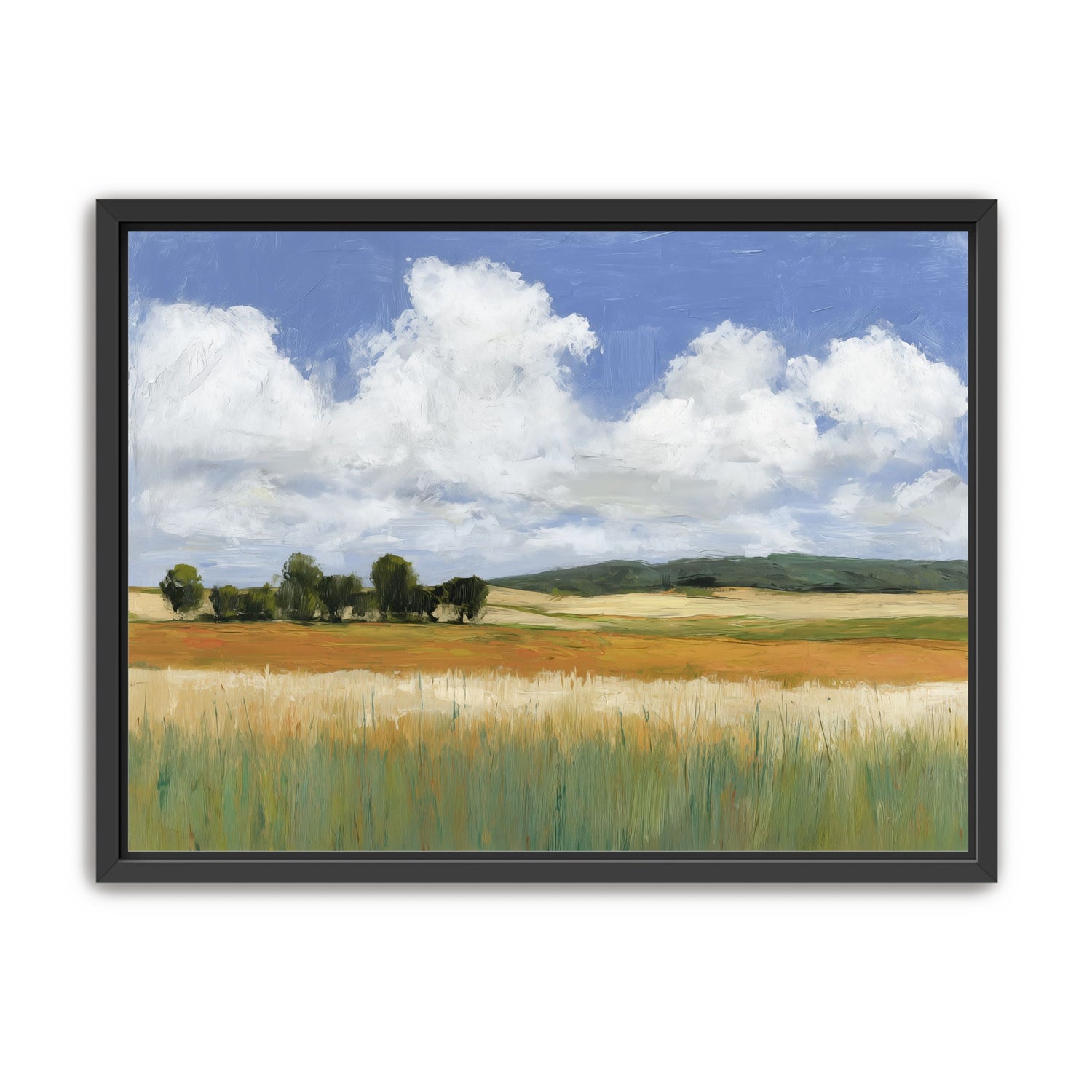 Meadow Under Clouds