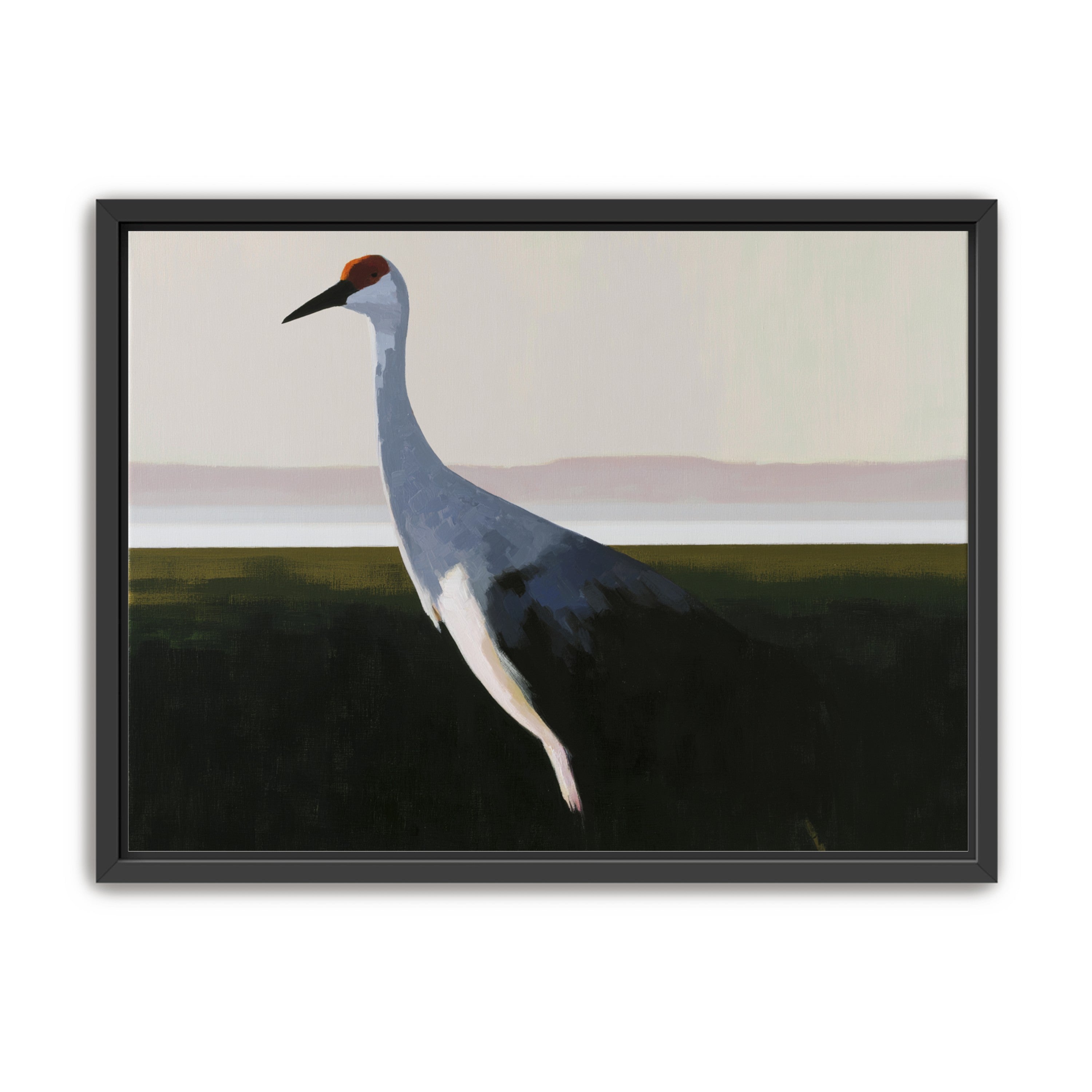 Crane with a red crown
