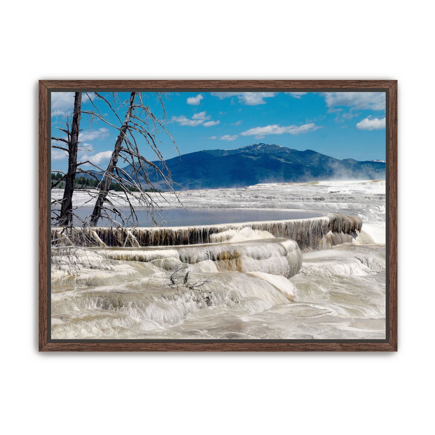 Mammoth Hot Springs