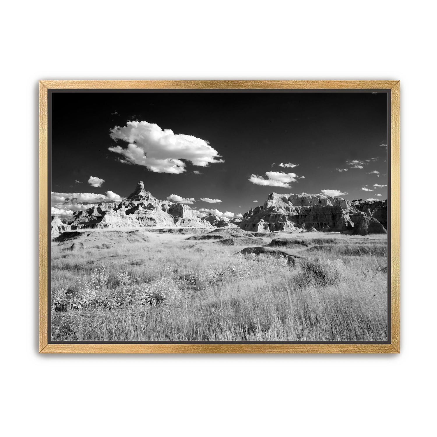 Badlands in Monochrome