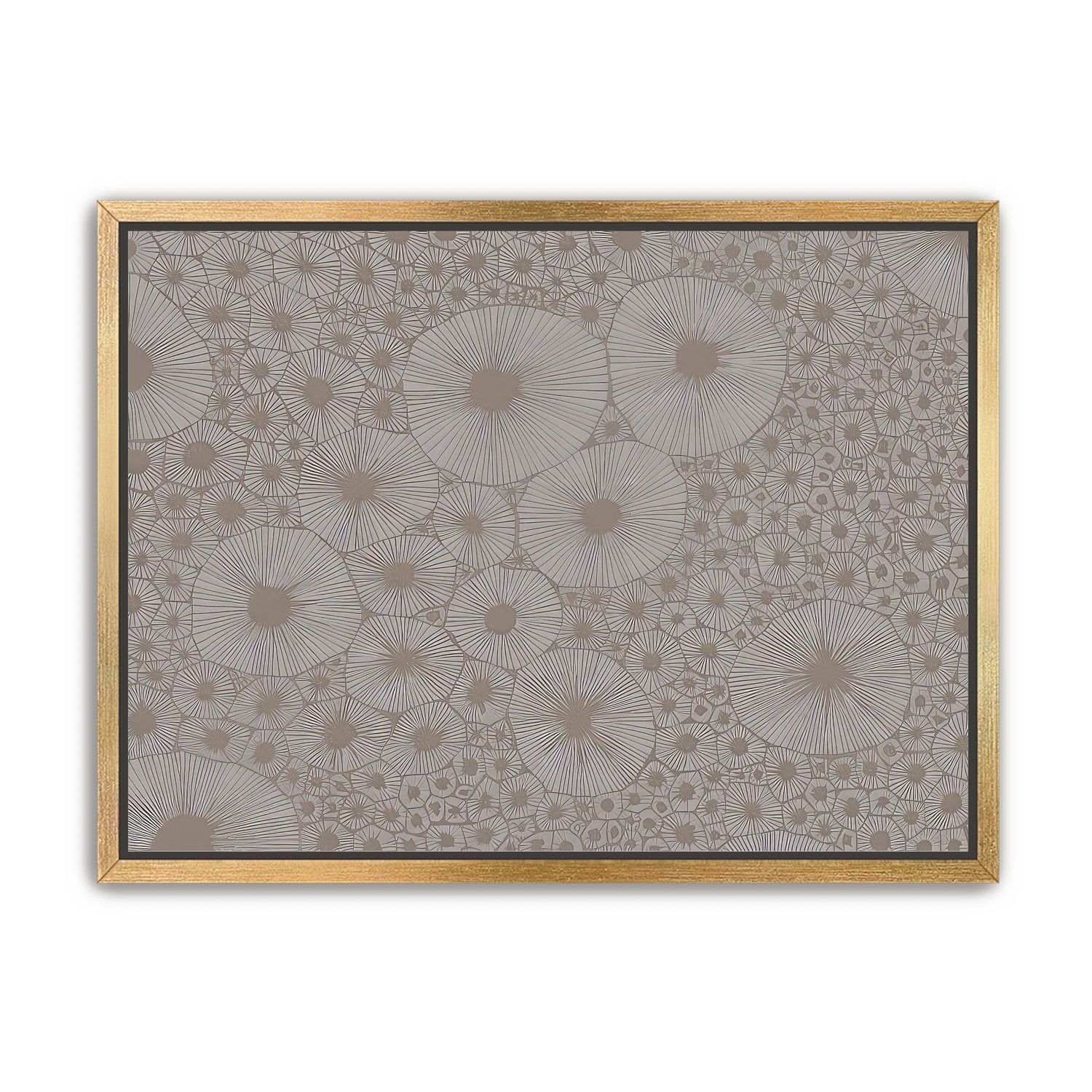 Bold Coral