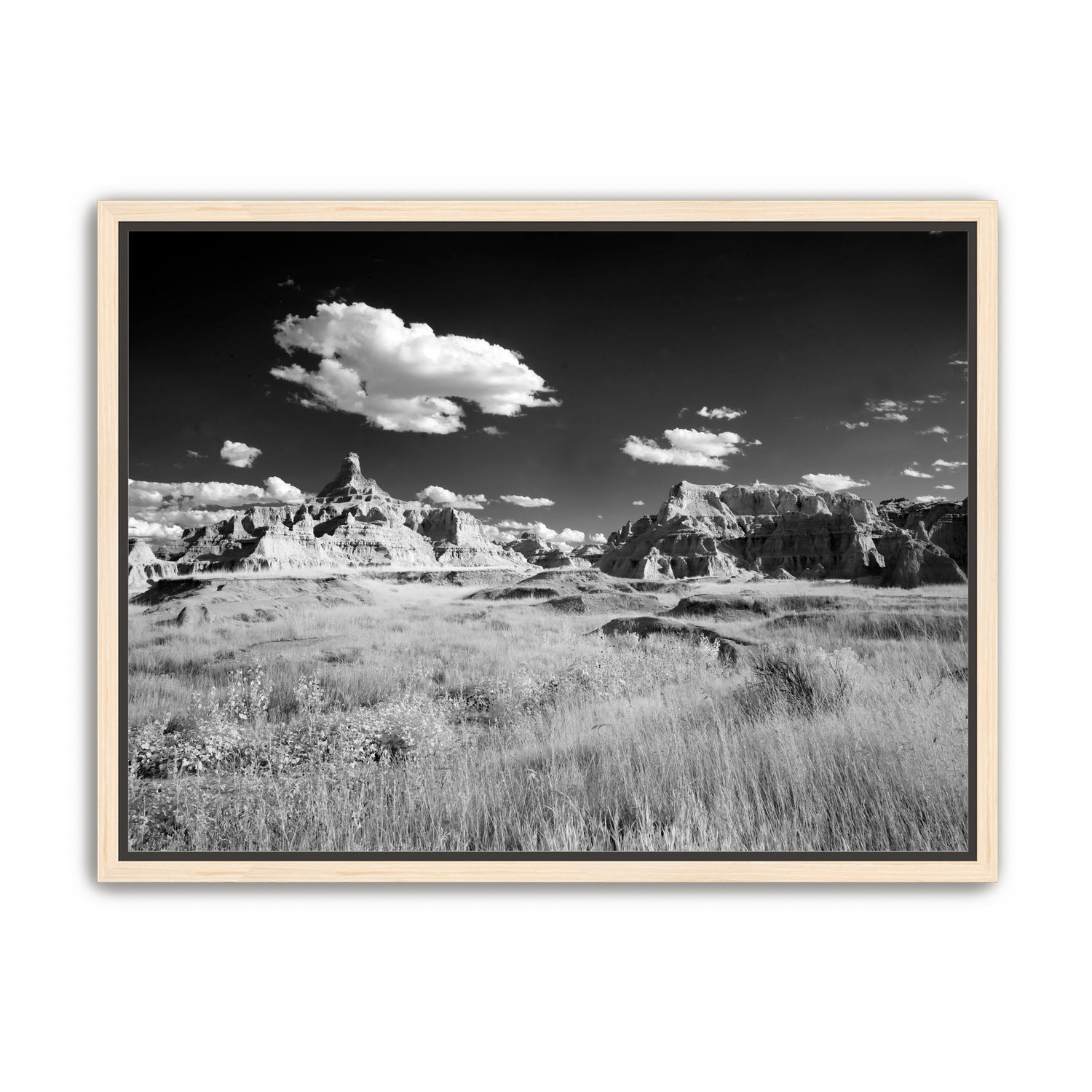 Badlands in Monochrome