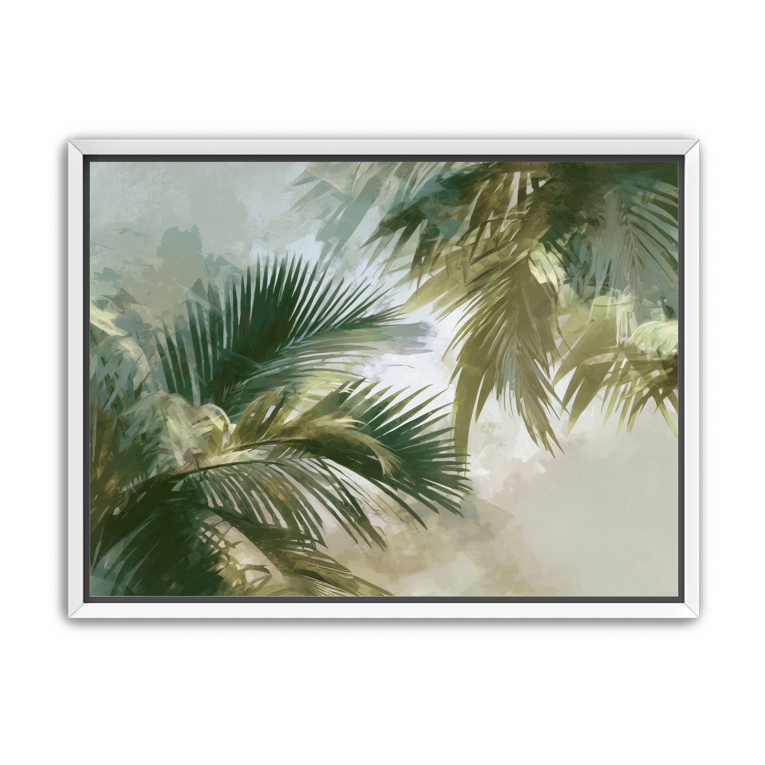 Palm Canopy