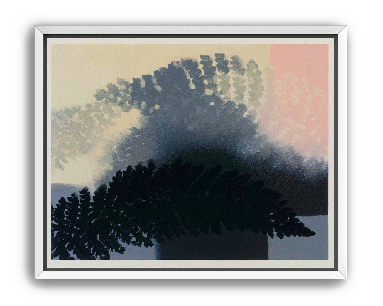 Tree shadow across the sky
