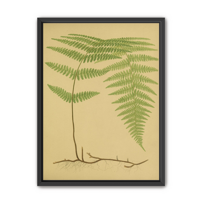 Green frond on tan paper