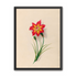 One flower above two buds