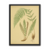 Fern fronds on tan paper