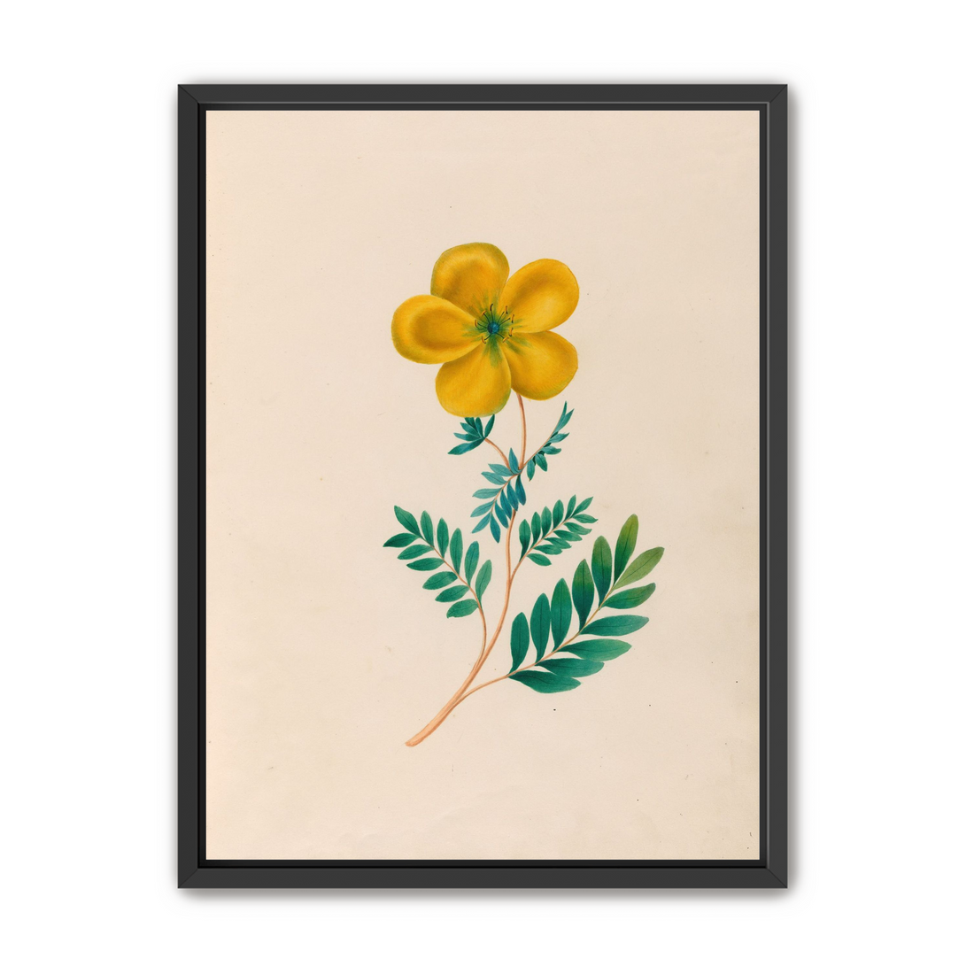 Yellow flower on pale paper