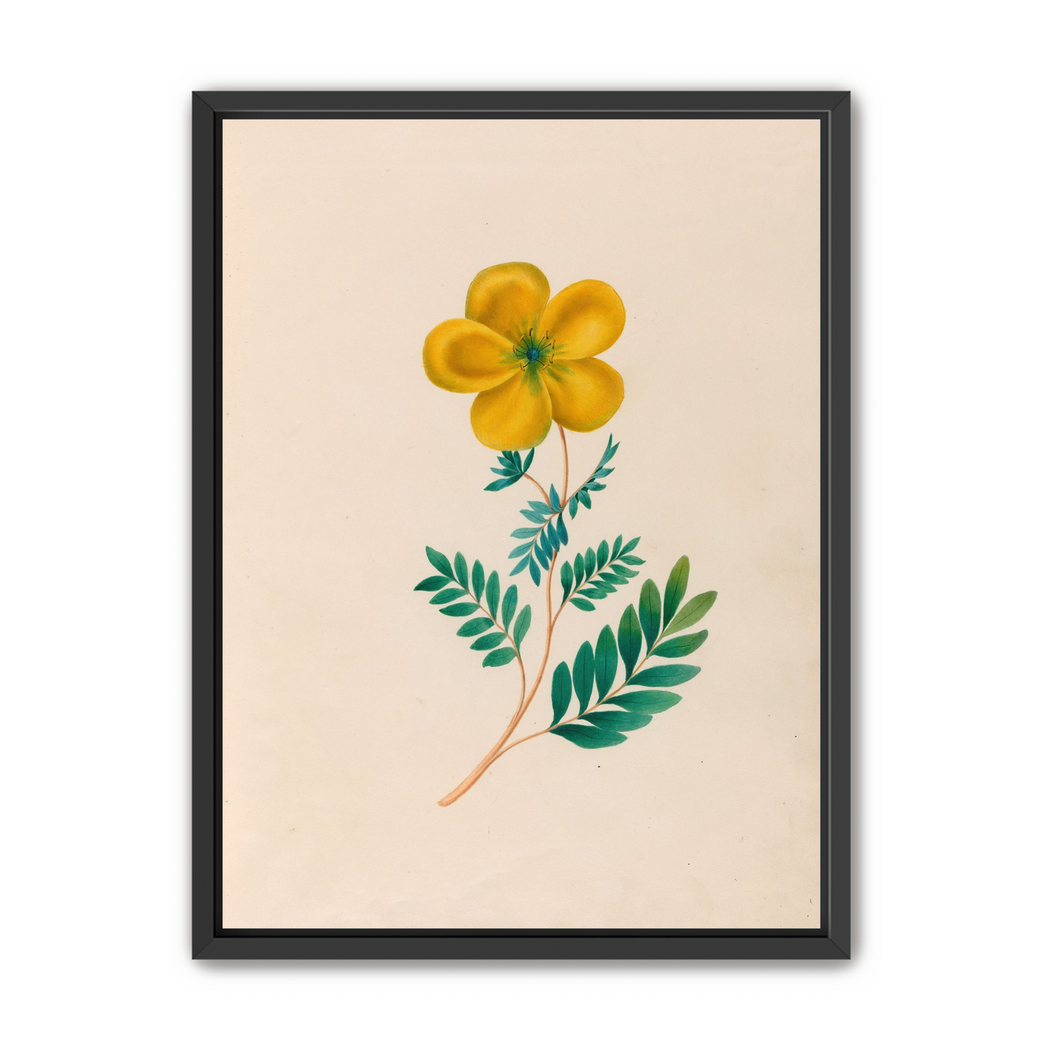 Yellow flower on pale paper