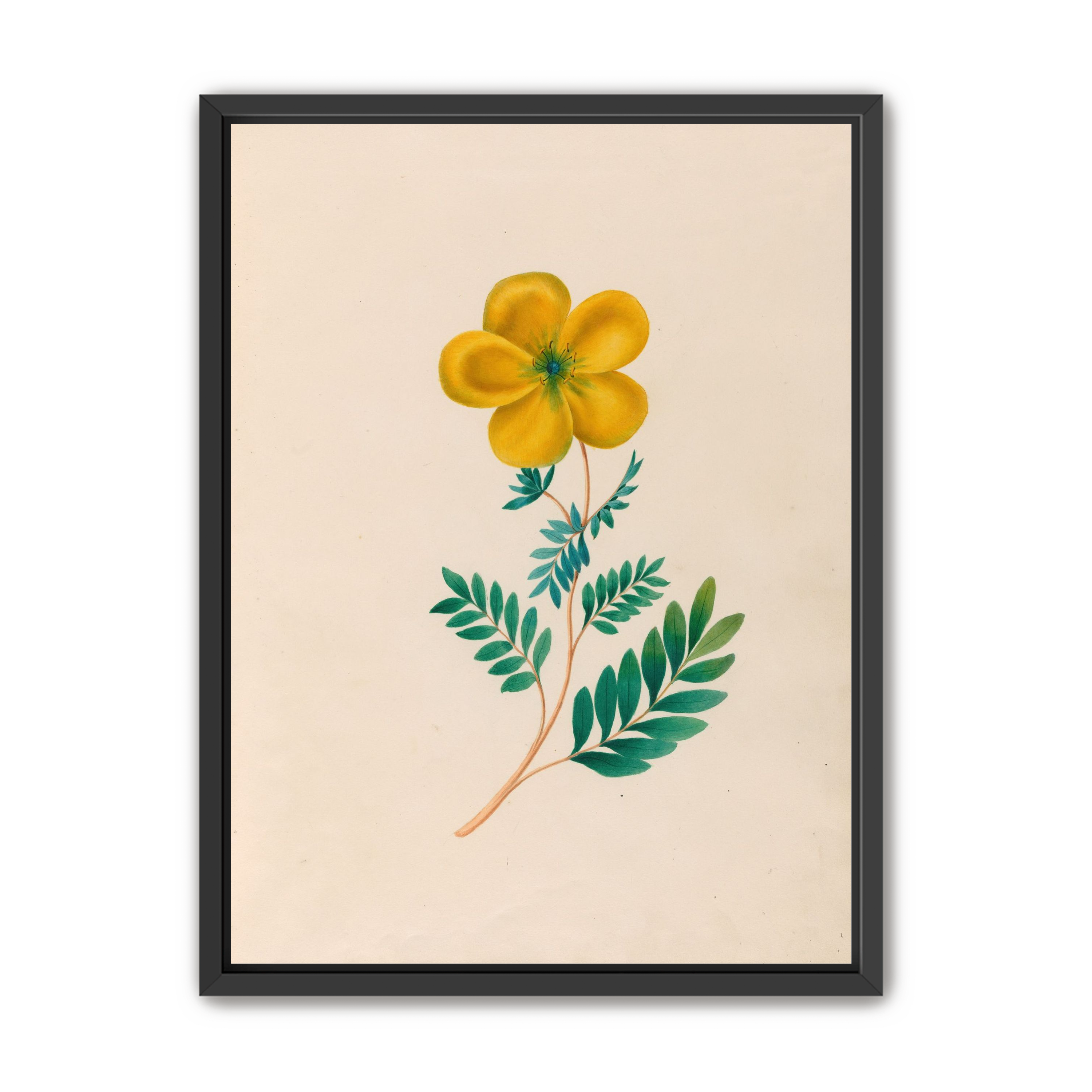 Yellow flower on pale paper