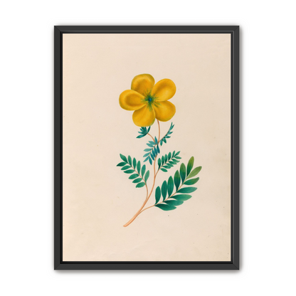 Yellow flower on pale paper