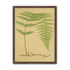 Green frond on tan paper