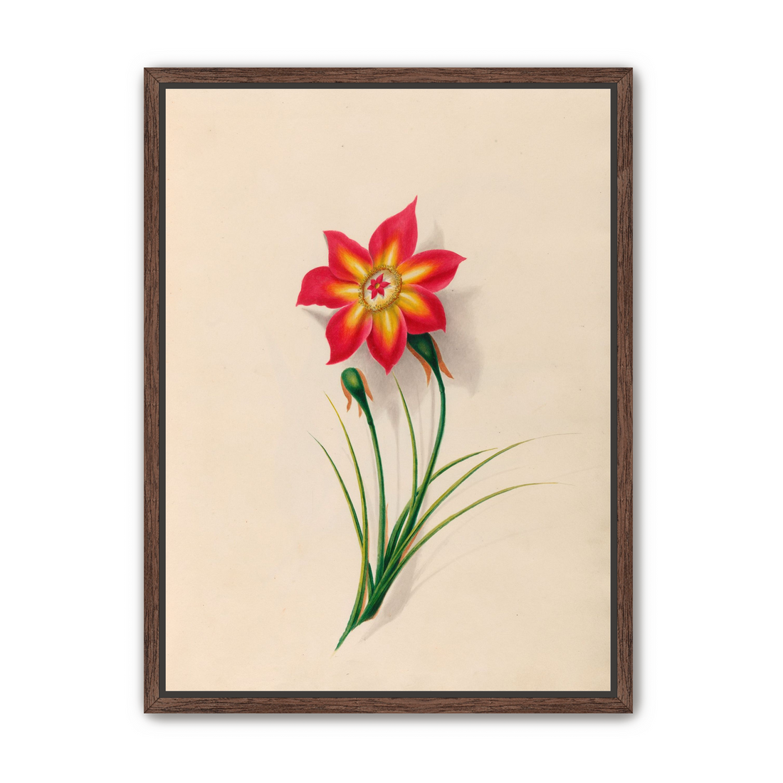 One flower above two buds